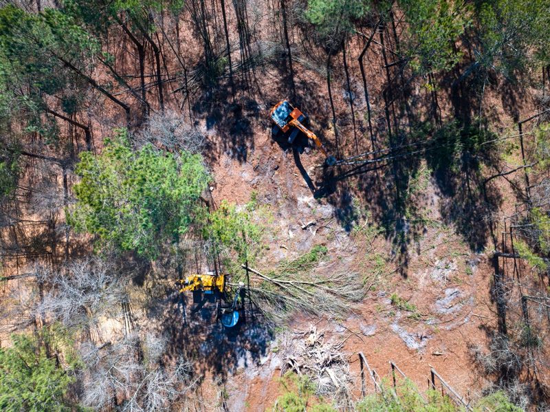 Aerial over the slope being cleared, two machines working the brush line